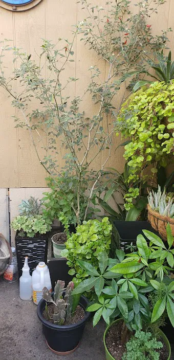 Happy Hollow Trailer Park Picture 10