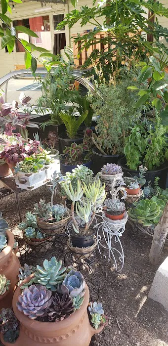 Happy Hollow Trailer Park Picture 9