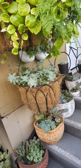 Happy Hollow Trailer Park Picture 7