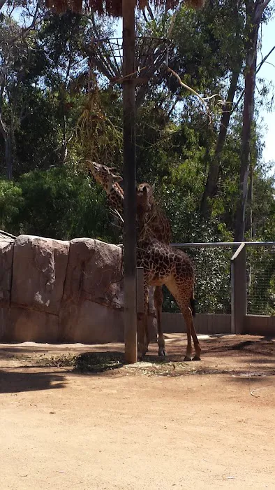 Happy Hollow Trailer Park Picture 4