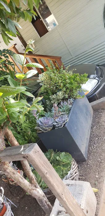 Happy Hollow Trailer Park Picture 6