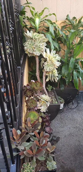 Happy Hollow Trailer Park Picture 5