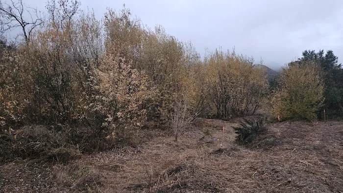 Seminole Springs MHP, Inc. Picture 1