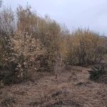 Seminole Springs MHP, Inc.