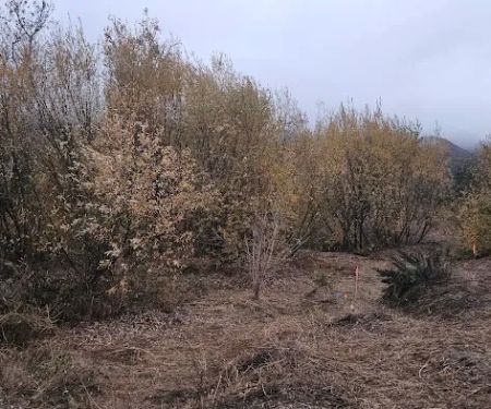 Seminole Springs MHP, Inc.