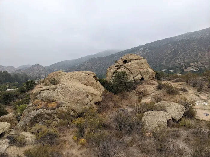 Susana Woods Prestige Mobile Picture 2