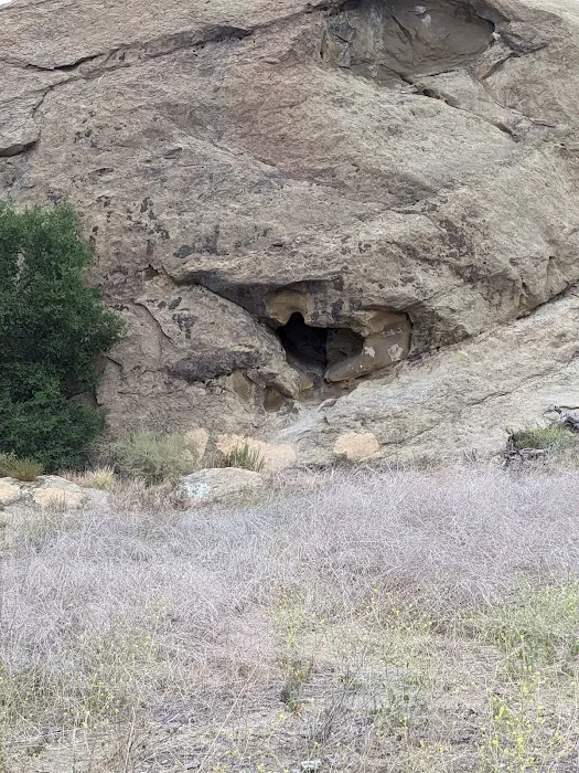 Susana Woods Prestige Mobile Picture 1