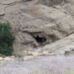 Susana Woods Prestige Mobile