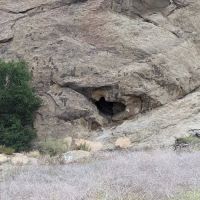 Susana Woods Prestige Mobile ico