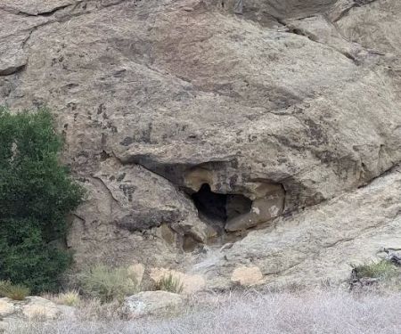 Susana Woods Prestige Mobile