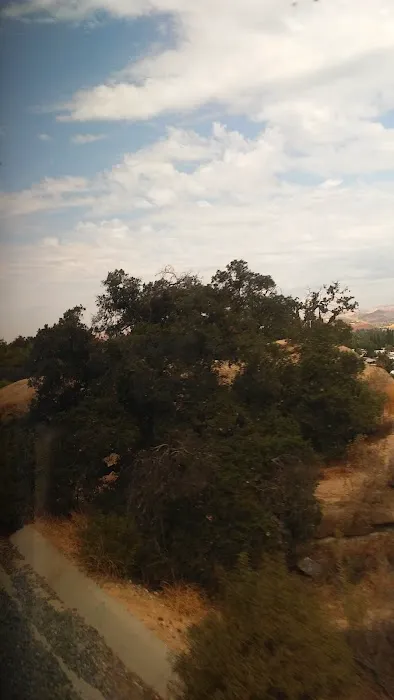 Susana Woods Prestige Mobile Picture 3