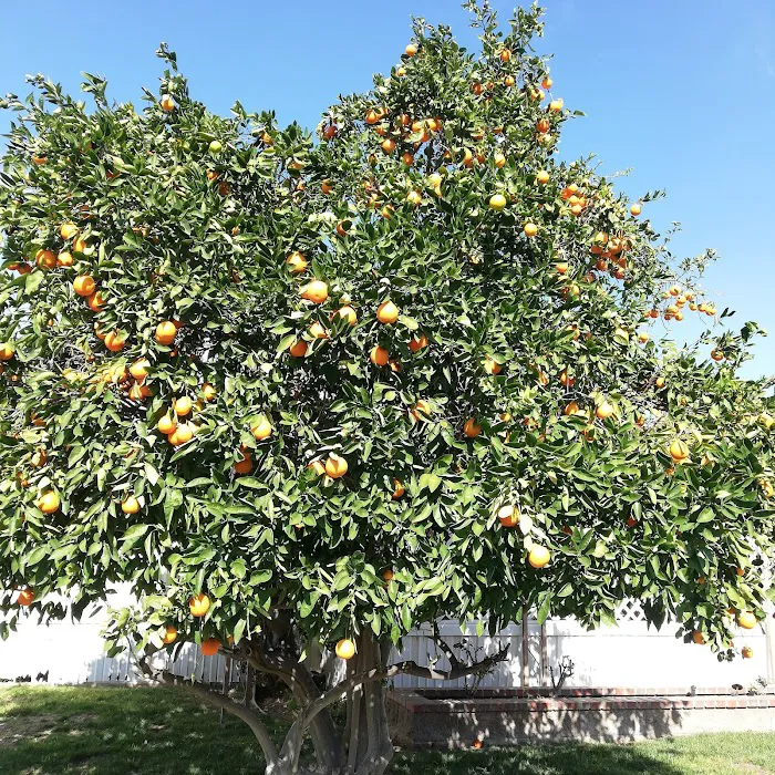 Susana Woods Prestige Mobile Picture 10