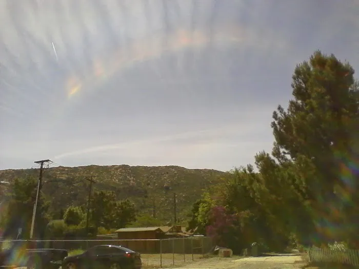 Susana Woods Prestige Mobile Picture 9