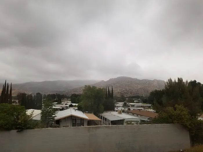 Susana Woods Prestige Mobile Picture 7