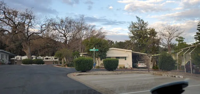 Thunderbird Oaks Mobile Home Club Picture 9