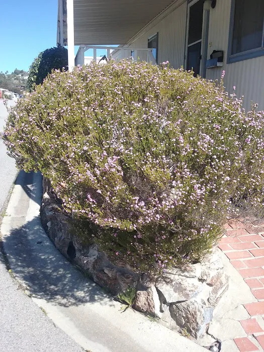 Ranch Mobile Home Park Picture 3