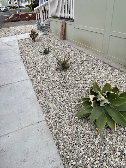 Simi Country Mobile Home Estates Picture 8
