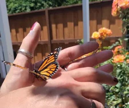 Tradewinds Mobilehome Park