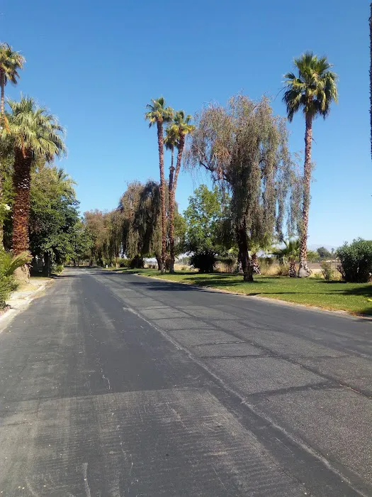 Rancho Mirage Mobile Home Park Picture 2