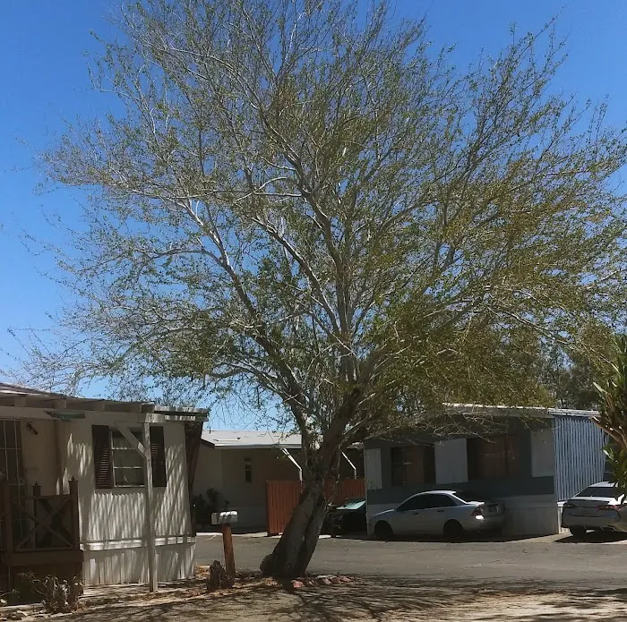 Mountain View Mobile Home Park Picture 10