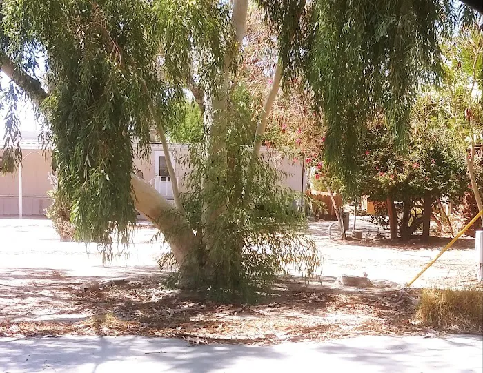Mountain View Mobile Home Park Picture 9