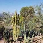 Mira Vista Mobile Home Estates