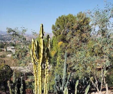 Mira Vista Mobile Home Estates