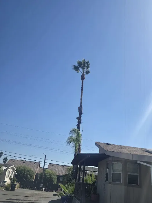 Westward Ho Manor Picture 4