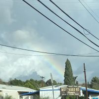 Westward Ho Manor ico