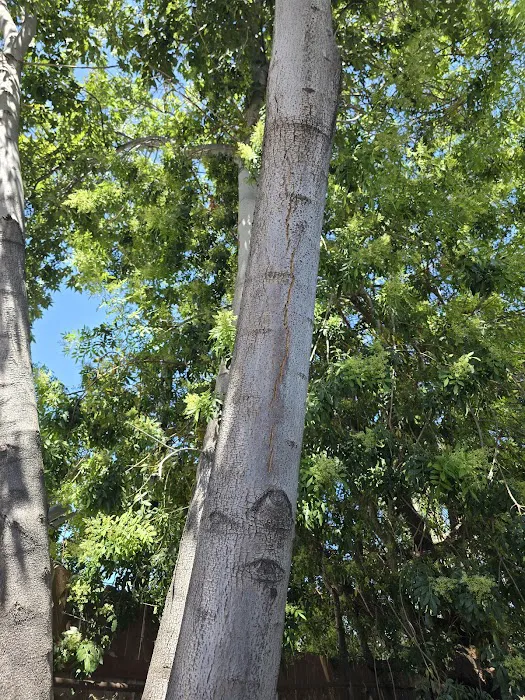 Westward Ho Manor Picture 10