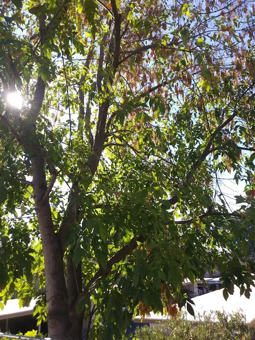 Westward Ho Manor Picture 9