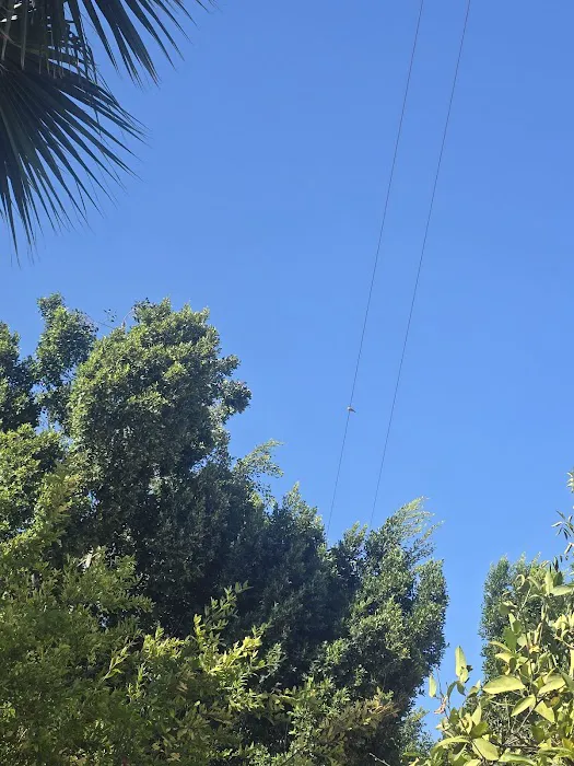 Westward Ho Manor Picture 5