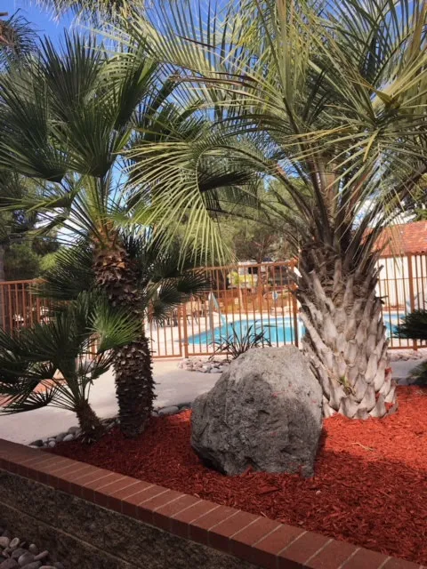 Rancho Los Coches RV Park Picture 6