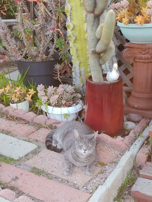 Ridgecrest Community Picture 6