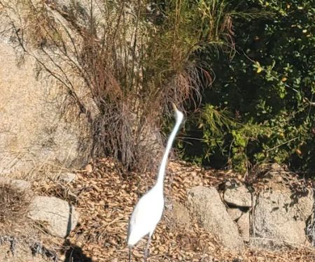 Pana-Rama Mobile Home Estates