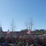 Lamplighter/Los Coches Manufactured Home Community