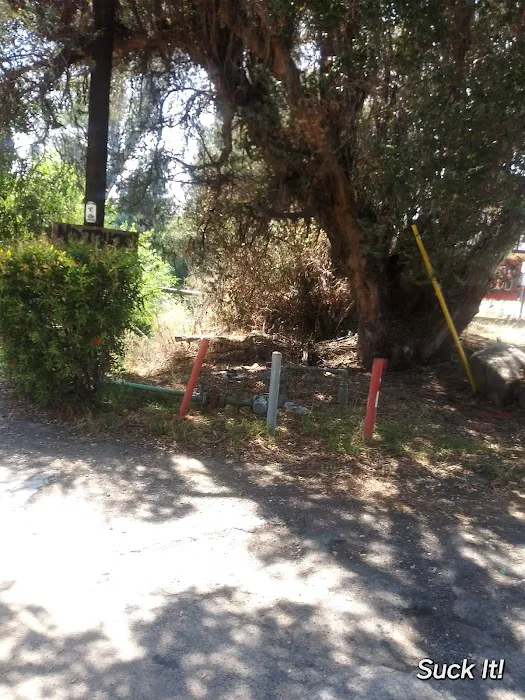 Glenview Mobile Lodge Picture 6