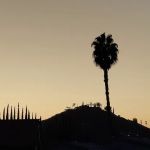 Pepper Villa Estate Global