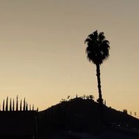 Pepper Villa Estate Global ico