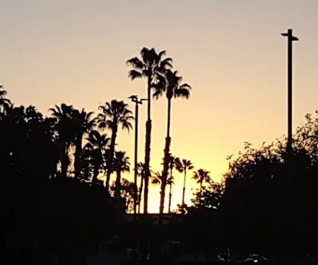 Royal View Gardens Mobile Ests