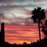 Vista Del Cajon MHP LLC