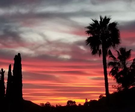 Vista Del Cajon MHP LLC