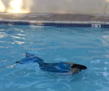 Los Coches Mobile Home Estates