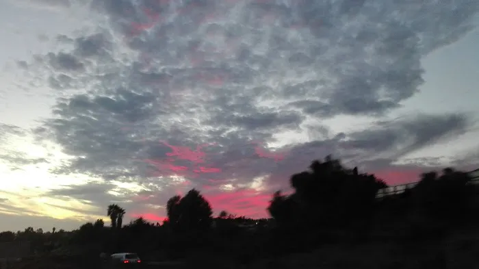 Carman Ranch Picture 6