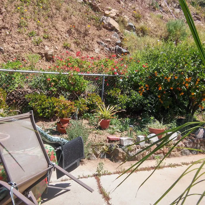 Terrace Mobile Home Estates Picture 6