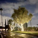 Villa Novia Country Estates