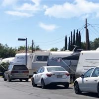 Shady Lane Trailer Park ico