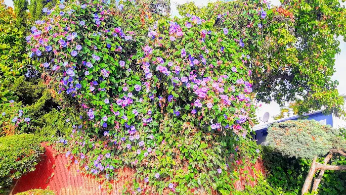 El Cajon Valley Mobile Home Park Picture 8