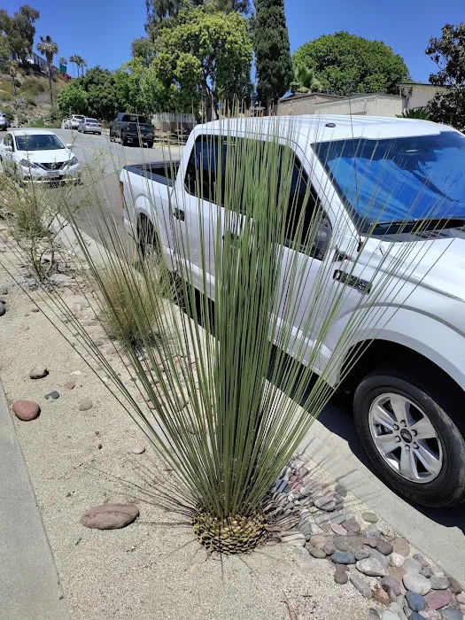 El Cajon Mobile Home Park Picture 2