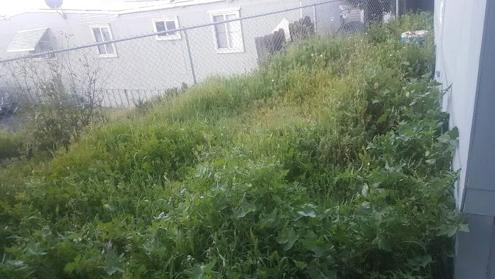 Bonita Vista Mobile Home Park Picture 8